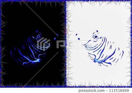 Image of two hippos. On a black and white background. 113516899