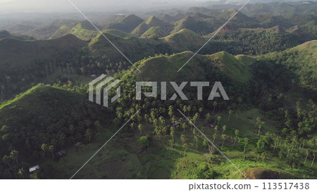 Aerial sun green hills: Philippines attraction at mist summer day. Tropical nobody nature landscape 113517438