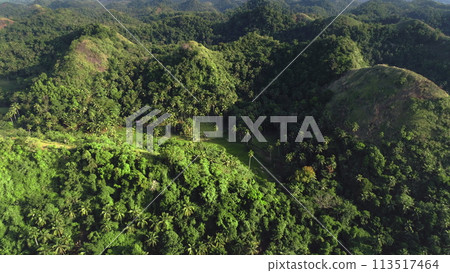 Top down jungle hill ranges aerial view with high trees, plants, grass. Wildlife nobody nature shot 113517464