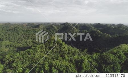 Tropical Philippines rainforest aerial view. Amazing exotic Asia landscape of high green grass hill 113517470