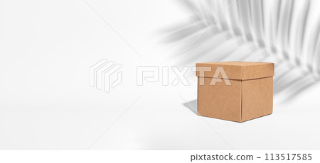 Beige brown carton box, kraft eco package of square shape, palm leaf shadow. Banner background Beige brown carton box, kraft eco package of square shape, palm leaf shadow. Banner background 113517585