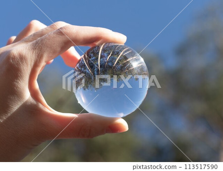 Hand holding transparent glass ball, sphere. Nature, trees, sky 113517590