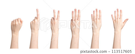 Hand count, fingers showing digits, numbers from zero, one two three four fist to five Hand count, fingers showing digits, numbers from zero, one two three four fist to five 113517605