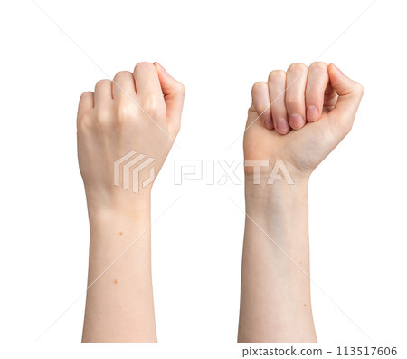 Fists raised up, front and back view, isolated on white background 113517606