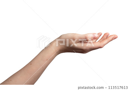 Hand palm stretching out, cup shape, showing gesture, isolated on white background Hand palm stretching out, cup shape, showing gesture, isolated on white background 113517613