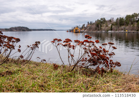 Small yellow Ro-Ro ferry goes near medieval Oscar Fredriksborgs fortification. Landmarks of Stockholm archipelag Small yellow Ro-Ro ferry goes near medieval Oscar Fredriksborgs fortification. Landmarks of Stockholm archipelag 113518430
