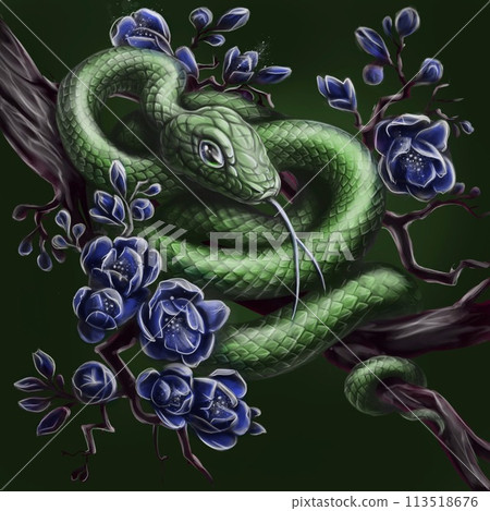 Green snake on a magnolia branch.  113518676
