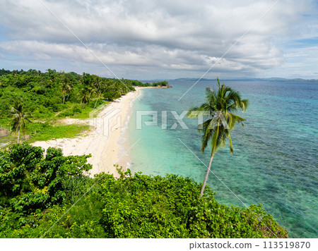 Tropical beach with clear water waves. Coconut trees in coastline. Carabao Island. San Jose, Romblon. Philippines. Tropical beach with clear water waves. Coconut trees in coastline. Carabao Island. San Jose, Romblon. Philippines. 113519870