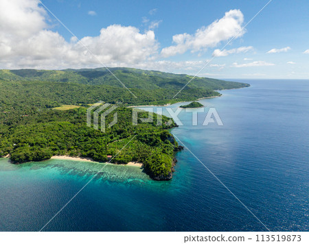 San Pedro Beach Resort with turquoise sea water and corals. Romblon, Romblon. Philippines. 113519873