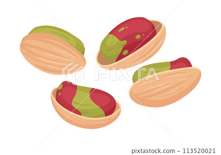 Delicious pistachios heap. Cartoon raw pistachio nuts in shell, tasty nuts snack flat vector illustration. Organic pistachio handful on white 113520021