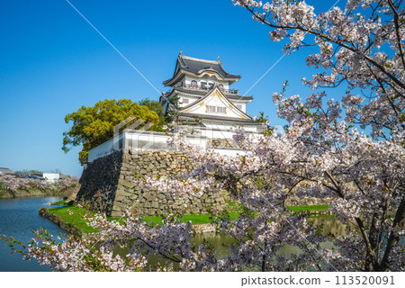 Kishiwada Castle, a Japanese castle located in Kishiwada city, Osaka, Japan. 113520091