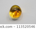 Amber with insects 113520546