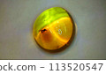 Amber with insects 113520547