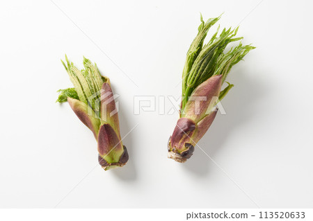 野菜 koshiabura 圖像 113520633