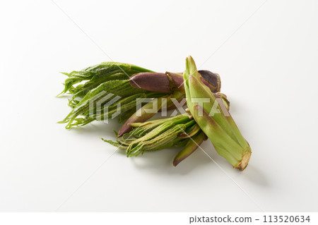 野菜 koshiabura 圖像 113520634