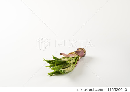 野菜 koshiabura 圖像 113520640