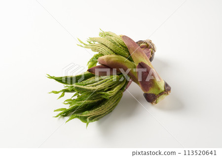 野菜 koshiabura 圖像 113520641