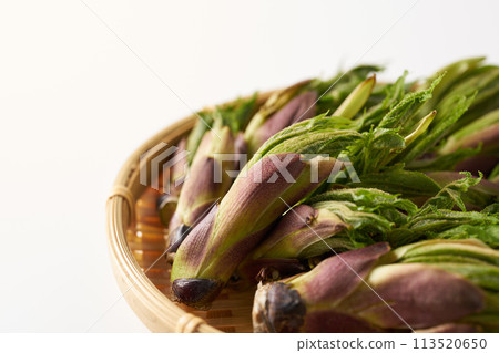 野菜 koshiabura 圖像 野菜 koshiabura 圖像 113520650