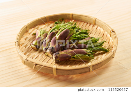 野菜 koshiabura 圖像 野菜 koshiabura 圖像 113520657