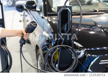 Woman holding plug of electric car charging station 113520712