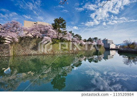 櫻花的風景 櫻花的風景 113520984