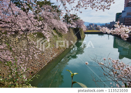 櫻花的風景 櫻花的風景 113521030