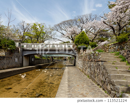 兵庫縣西宮市春天的宿川公園綠橋 兵庫縣西宮市春天的宿川公園綠橋 113521224