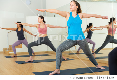 Group of young active females performing yoga 113521386