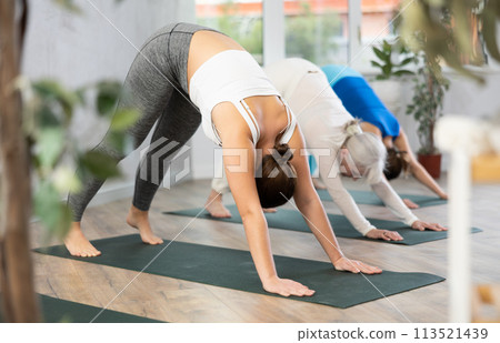 Women in activewear performing basic pose Downward Facing Dog Adho Mukha Svanasana during yoga class in studio Women in activewear performing basic pose Downward Facing Dog Adho Mukha Svanasana during yoga class in studio 113521439