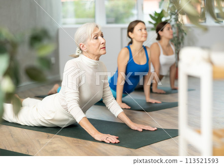 Mature female performing Bhujangasana Cobra Stretch posture during group yoga class 113521593