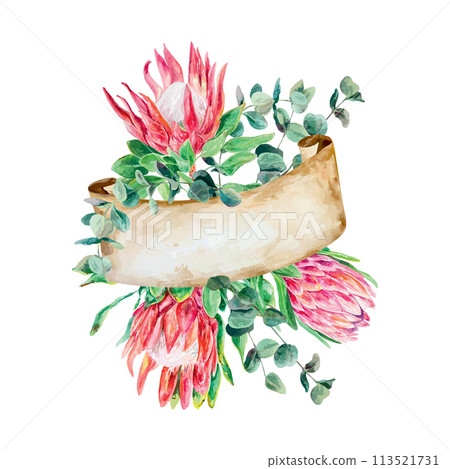 Protea watercolor, eucalyptus twigs, banner for text. Vector illustration of pink flowers. Cards, wedding invitations, banners, covers, labels, flyers 113521731