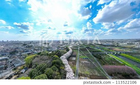 Aerial view of Saitama Prefecture's Minuma rice fields in spring, ultra-wide-angle shot 113522106