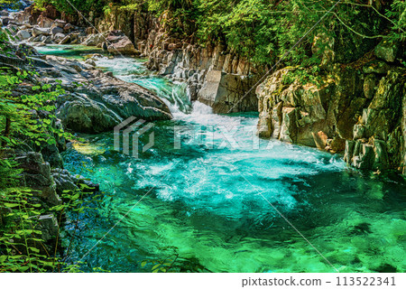 翠綠的山谷閃閃發光 113522341