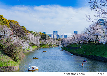 Tokyo Tower and Cherry Blossoms at Chidorigafuchi Tokyo Tower and Cherry Blossoms at Chidorigafuchi 113522704