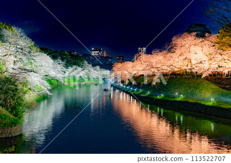 Tokyo Tower and Chidorigafuchi cherry blossoms at night 113522707