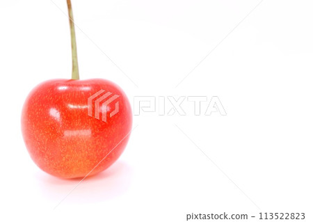 Cherry Sato Nishiki 1 piece close-up bright background 113522823