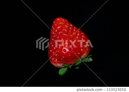 [草莓]佐賀穗之香[微距照片] 113523058