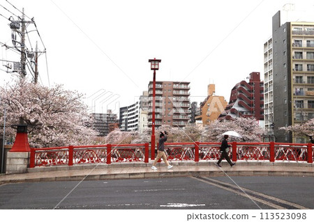 盛開的太田橋（神奈川縣橫濱市南區白金町1丁目） 113523098