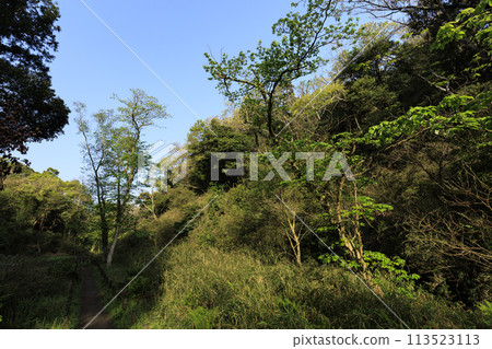 有濕地的風景（春天） 113523113