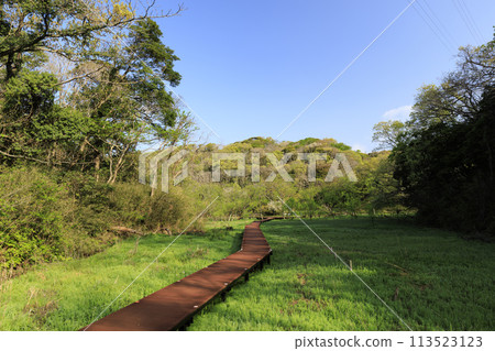 有濕地的風景(春天) 有濕地的風景(春天) 113523123