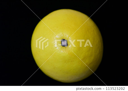 [柑橘]珍珠柑橘[微距照片] 113523202