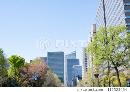 Fresh greenery along Uchibori-dori street 113523464