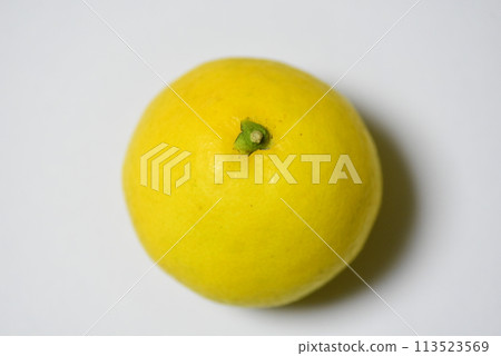 [柑橘] Hyuganatsu [微距照片] 113523569