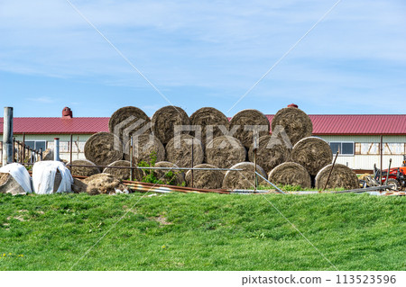 A typical Hokkaido sight: piles of wheat straw rolls A typical Hokkaido sight: piles of wheat straw rolls 113523596