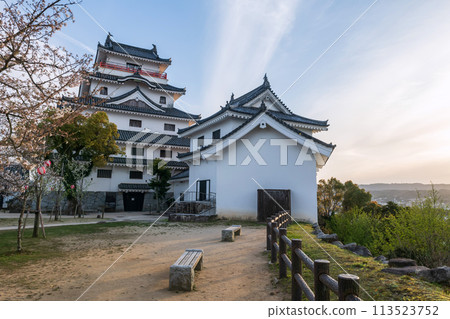 Karatsu castle with white sakura and city view at sunset, Saga Karatsu castle with white sakura and city view at sunset, Saga 113523752