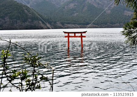 Torii of Kuzuryu Shrine 113523915