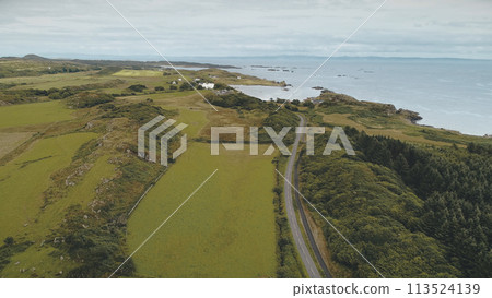 Countryside road at pine forest aerial. Nobody nature landscape at sea bay. Rural fields, meadows Countryside road at pine forest aerial. Nobody nature landscape at sea bay. Rural fields, meadows 113524139