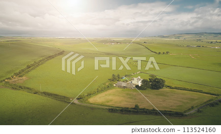 Sun shine at countryside landscape with farm aerial. Green pastures with animals. Rural farmland 113524160