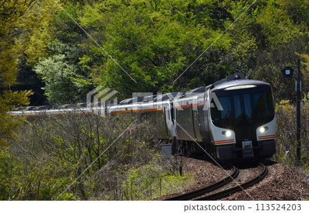 JR東海HC85系列特急飛驒號 113524203