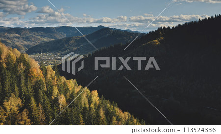 Aerial mountain pine forest. Autumn nobody nature landscape. Green trees, grass at mount hills Aerial mountain pine forest. Autumn nobody nature landscape. Green trees, grass at mount hills 113524336